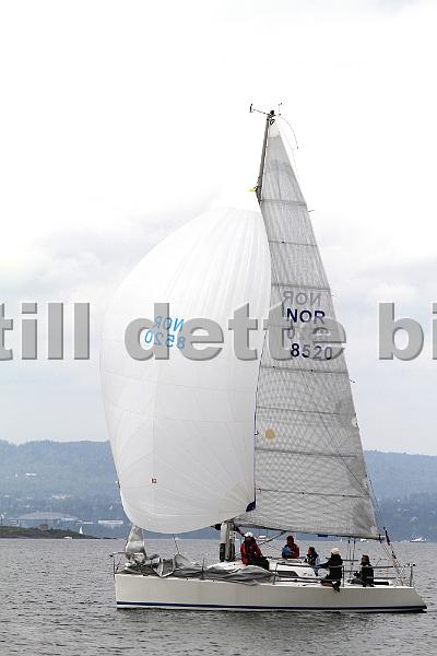 Bundefjorden2012 063.jpg